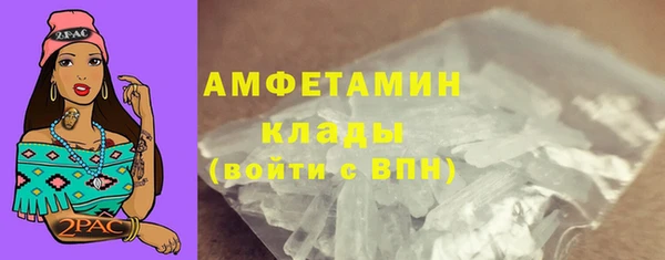 ГАЛЛЮЦИНОГЕННЫЕ ГРИБЫ Балахна