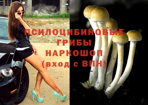 a pvp Баксан