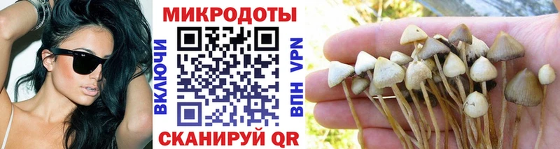 Псилоцибиновые грибы мицелий  Заозёрск 