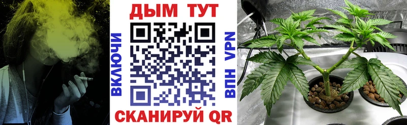 Канабис SATIVA & INDICA  даркнет сайт  Заозёрск 
